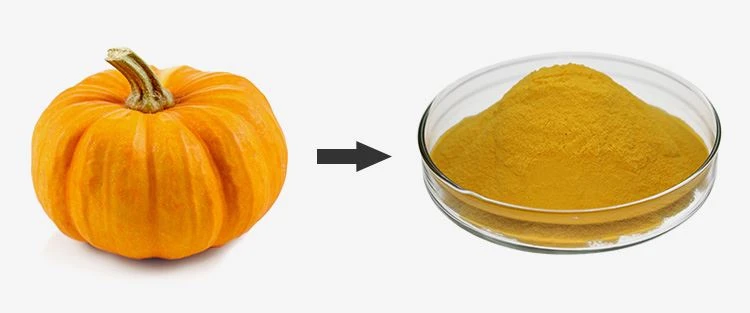 Pumpkin Powder Bulk 1