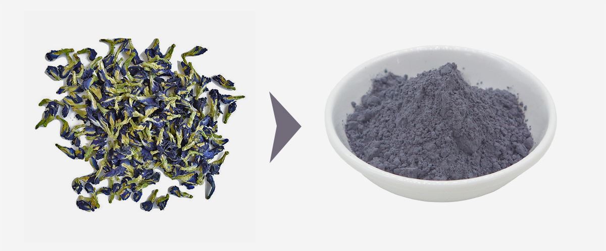 Butterfly Pea Flower Powder 1