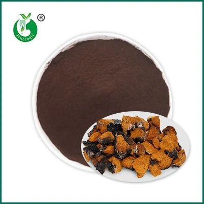 Bubuk Ekstrak Chaga