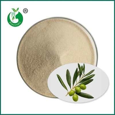 Bubuk Hydroxytyrosol