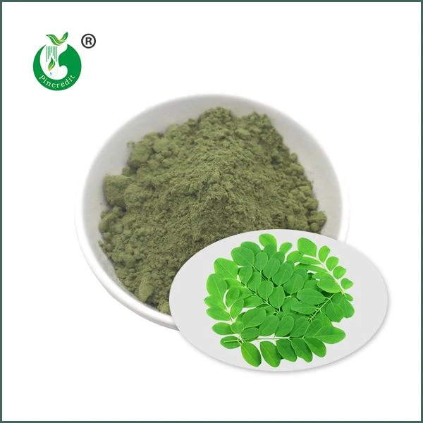 Bubuk Moringa Organik
