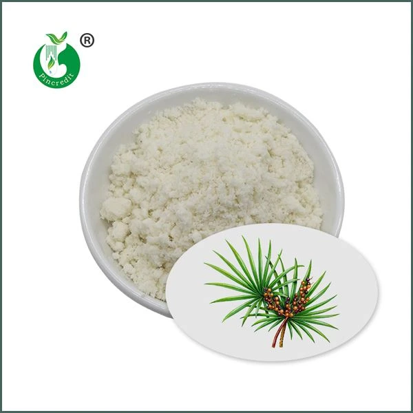 Saw Palmetto Ekstrak Bubuk