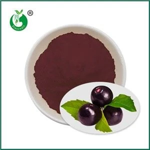 Bubuk Jus Acai Berry