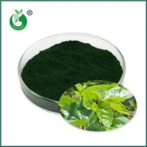 Apa itu Sodium Copper Chlorophyllin? Untuk apa saja kegunaannya?