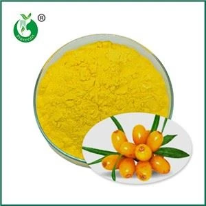 Khasiat, Kegunaan dan Proses Produksi Bubuk Jus Seabuckthorn