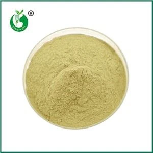 Apakah Vitamin K2 dan MK7 Sama?