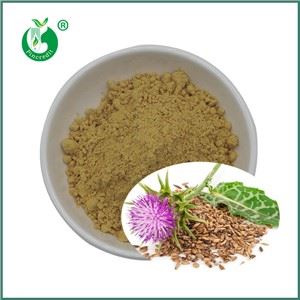 Memberi Tahu Anda Tentang Ekstrak Milk Thistle dalam Satu Menit