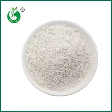 Bisakah Resveratrol Membalikkan Penuaan?