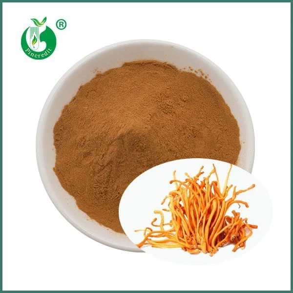 Bubuk Ekstrak Cordyceps Militaris