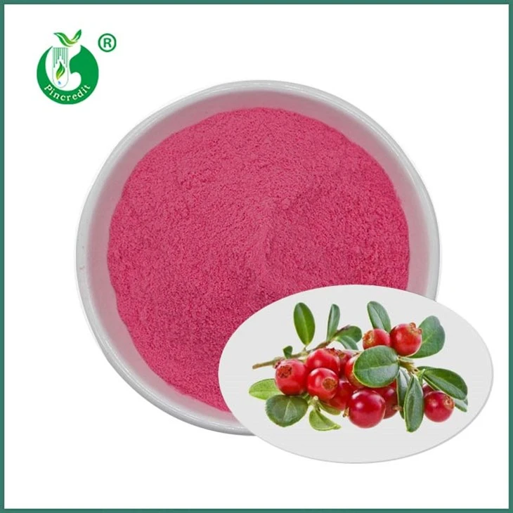 Bubuk Jus Cranberry