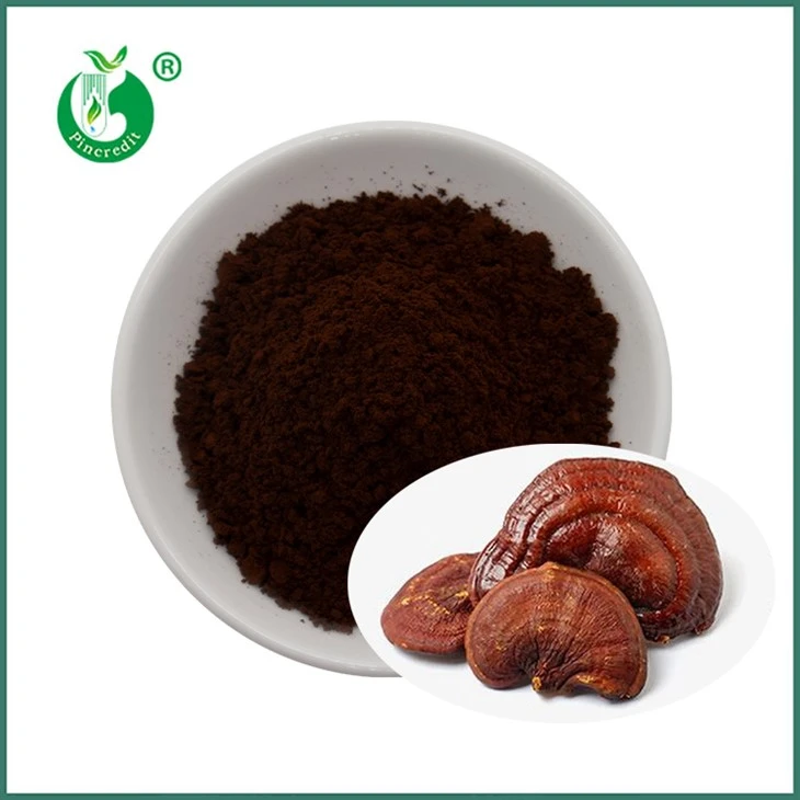 Bubuk Spora Reishi