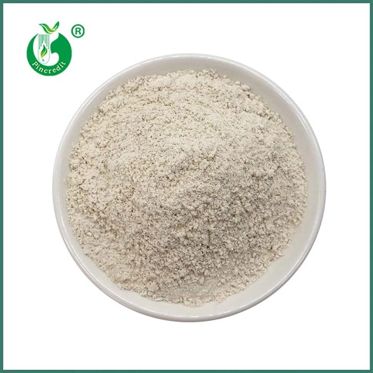 Bubuk Trans Resveratrol