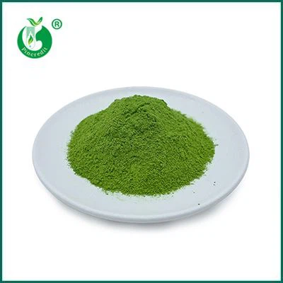 Bubuk Teh Hijau Matcha